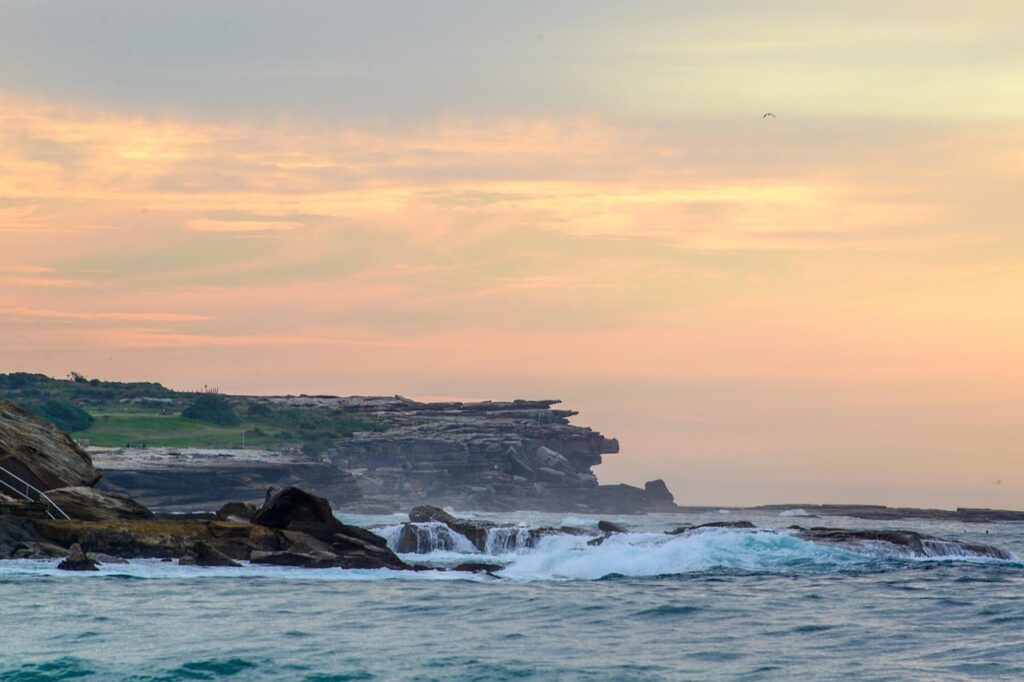 whale watching cruise in sydney