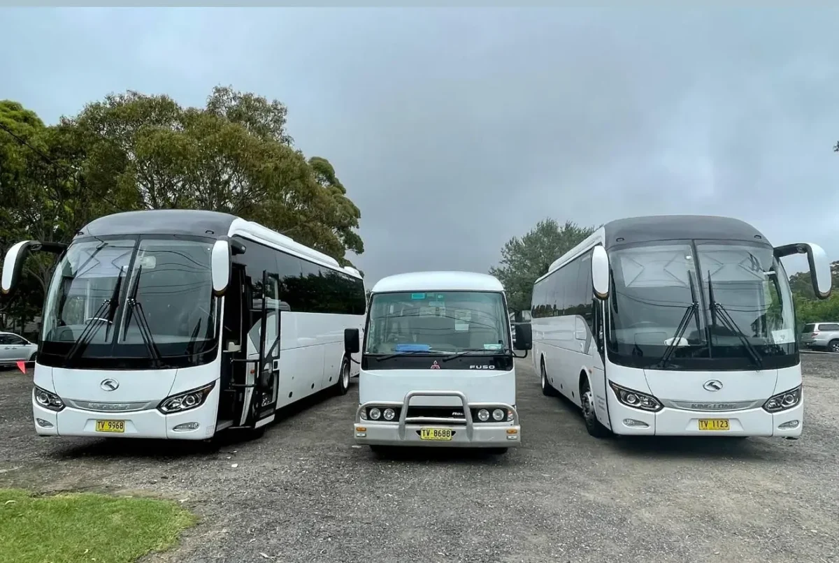School Bus Hire